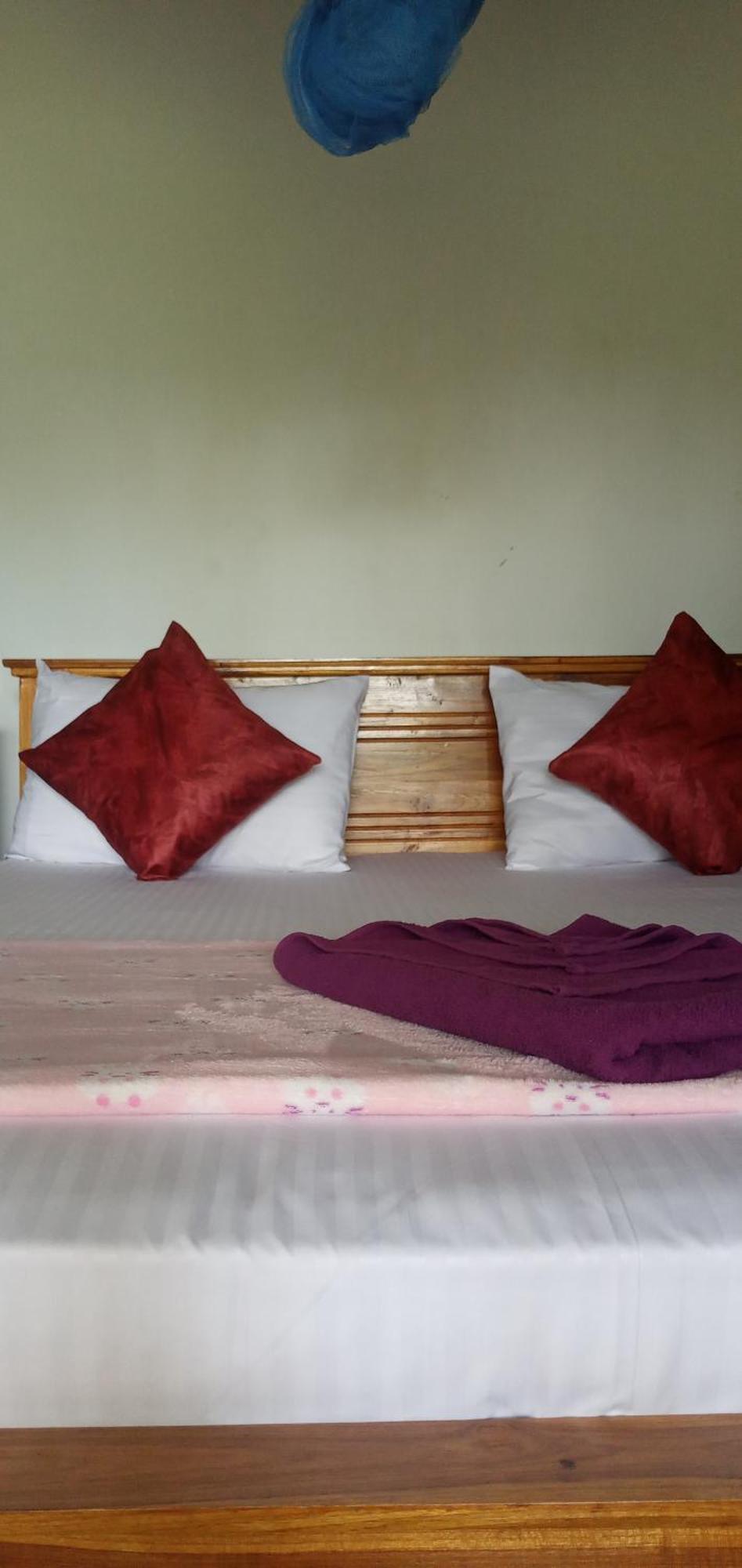 Himansa Homestay Ella Buitenkant foto