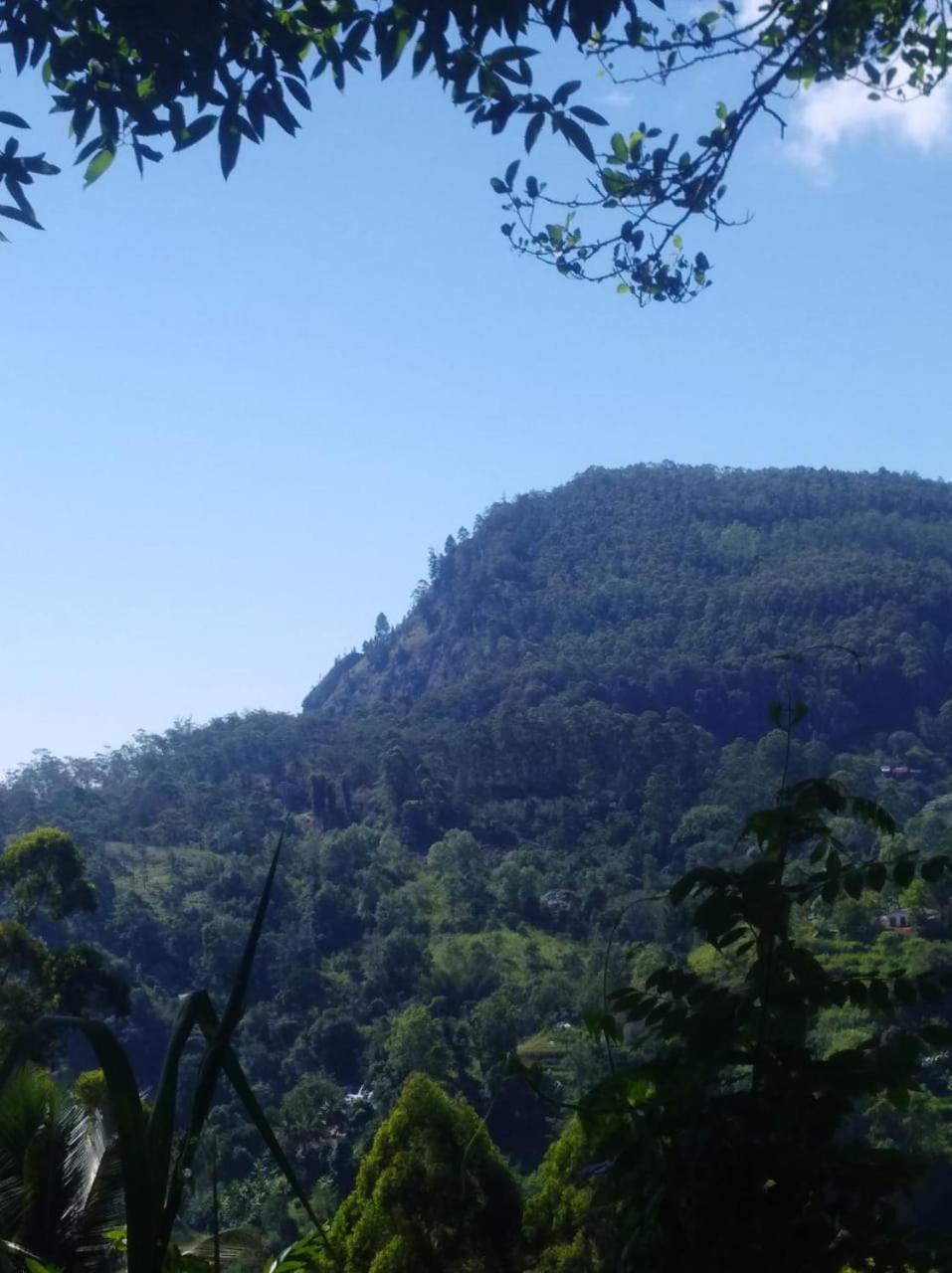 Himansa Homestay Ella Buitenkant foto