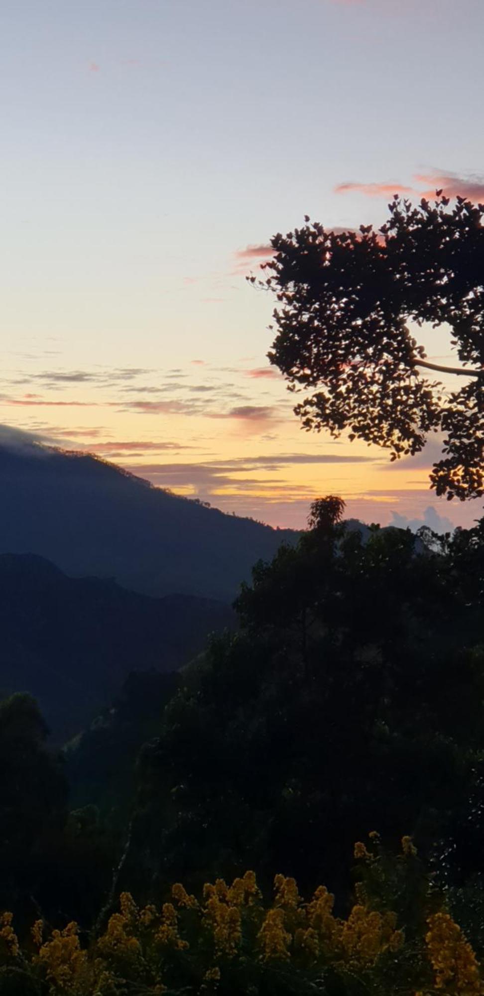 Himansa Homestay Ella Buitenkant foto