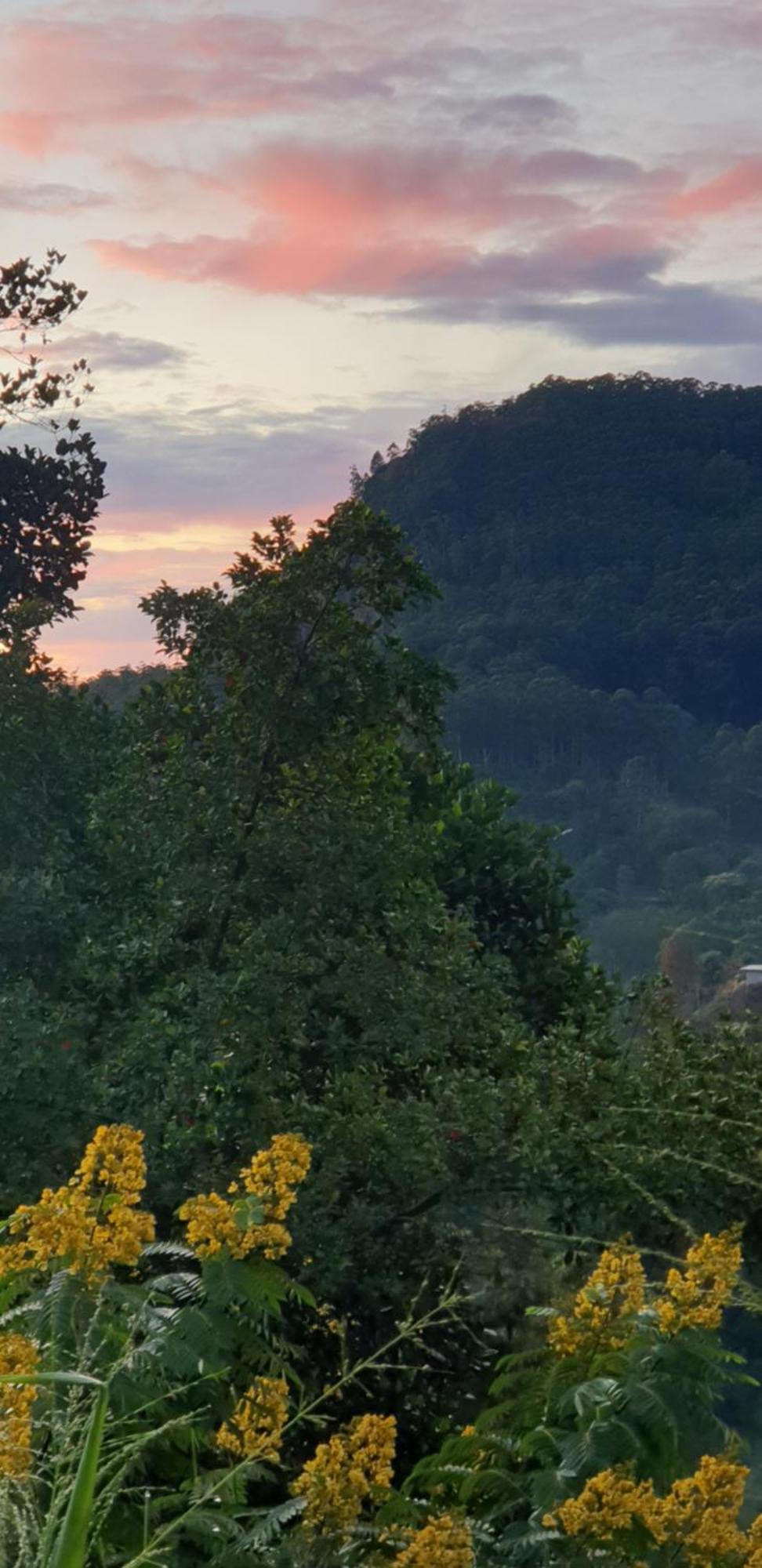 Himansa Homestay Ella Buitenkant foto