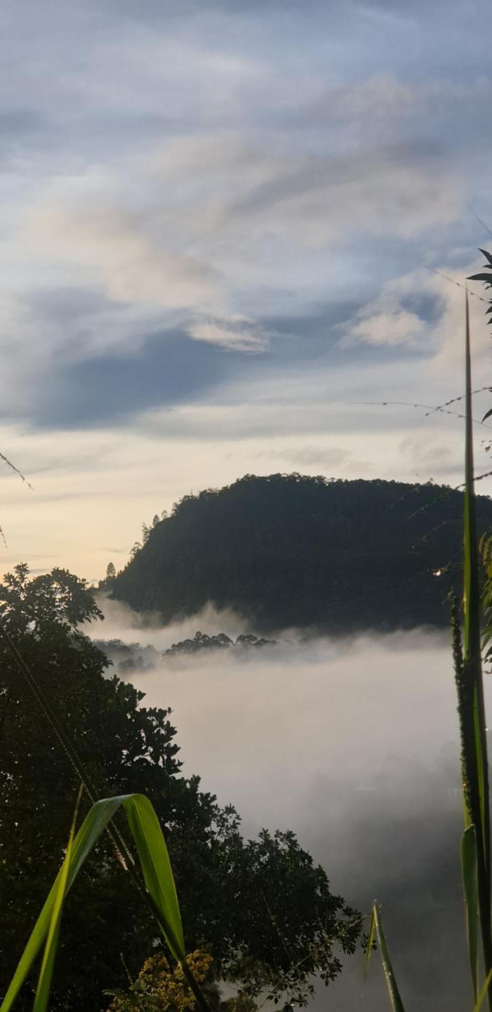 Himansa Homestay Ella Buitenkant foto