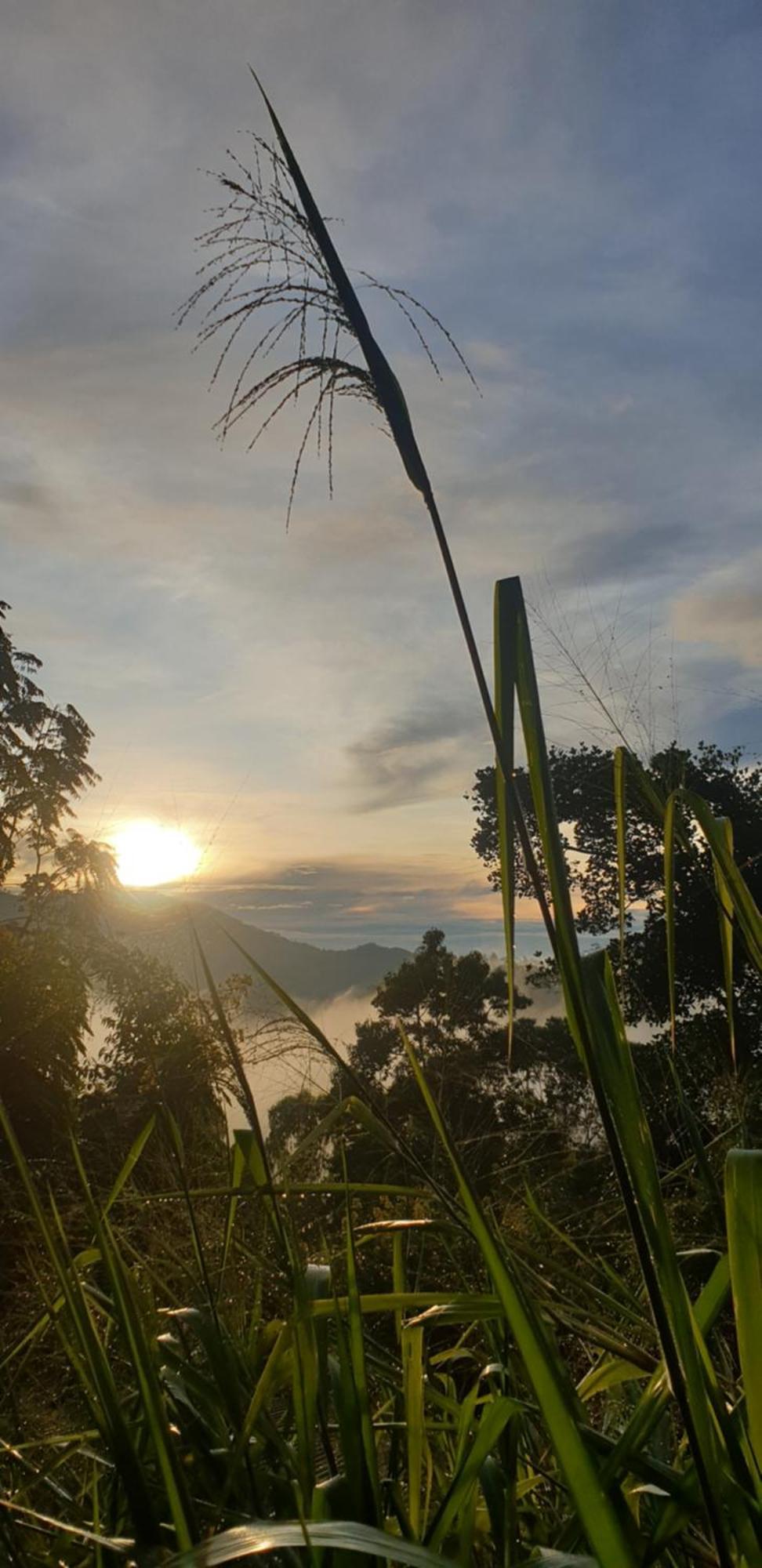 Himansa Homestay Ella Buitenkant foto