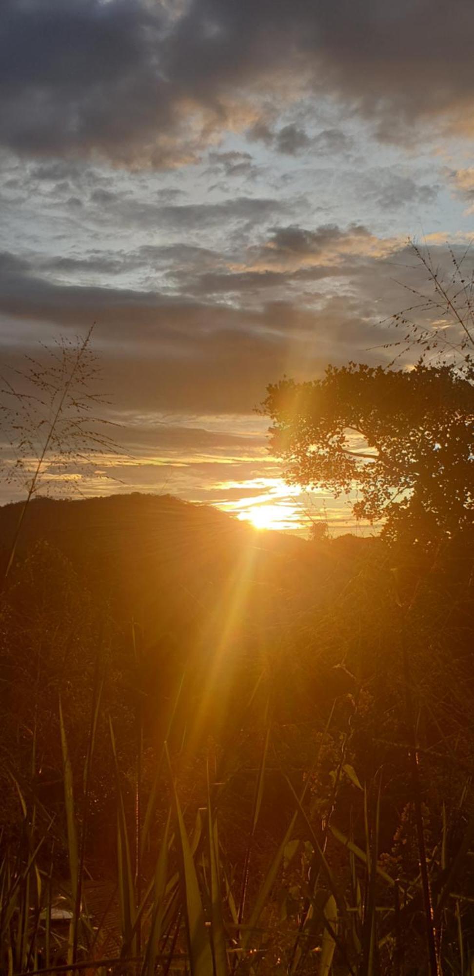 Himansa Homestay Ella Buitenkant foto