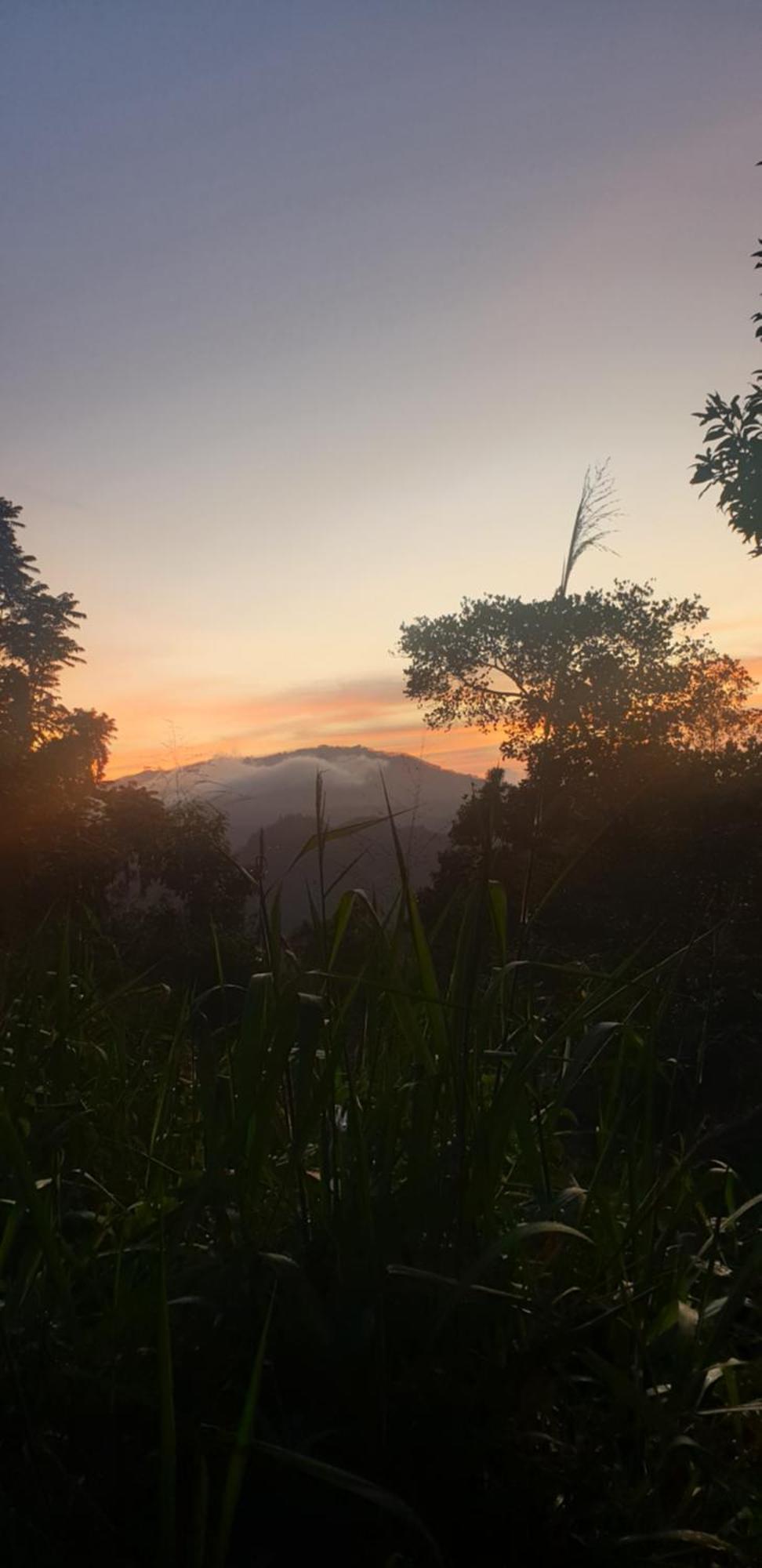 Himansa Homestay Ella Buitenkant foto